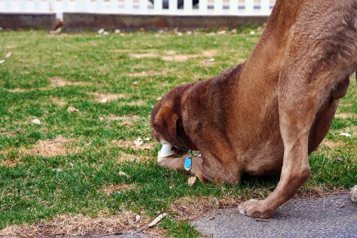 Whisky's quick extract method