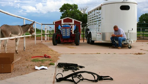 Driving Mister Bernard