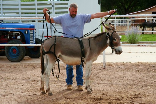 Driving Mister Bernard