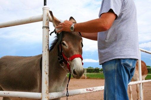 Driving Mister Bernard