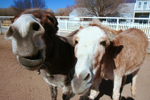 Fergus doing his best James Cagney