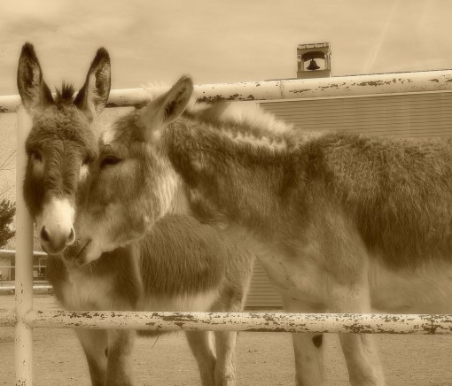 bernard-and-ellsworth