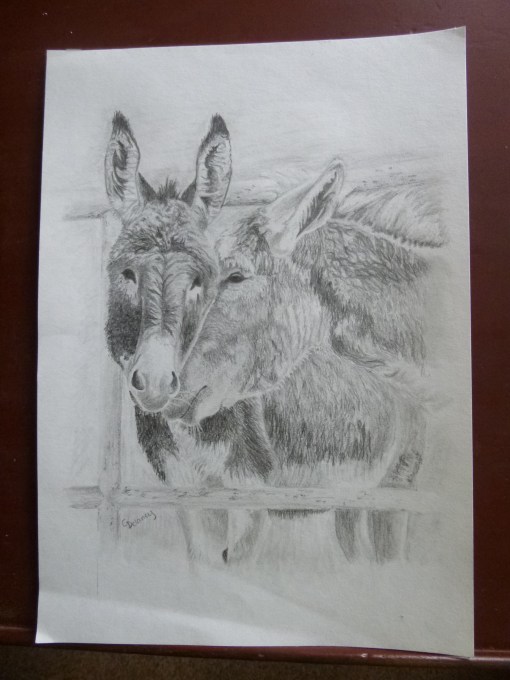 Whispering Donkeys by Christine at Garybuie's Blog