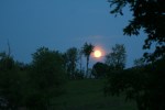 Pink Moon1